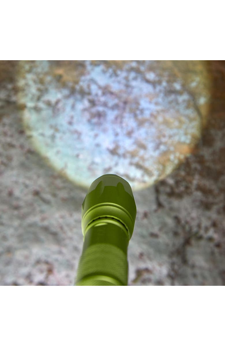 HABA Terra Kids Flashlight with Carabiner Clip, Kids Outdoor Toys, 4 Way Light Ideal for Kids Camping Essentials, Ages 6 and Up, Alternate, color, Multi