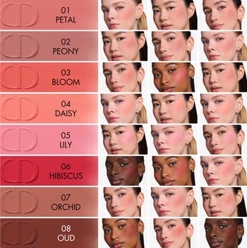 'Dior Forever Blush Soft Filter Liquid Blush