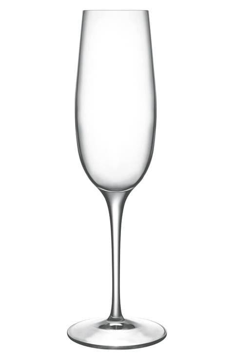 Crescendo Set of 4 Champagne Flutes
