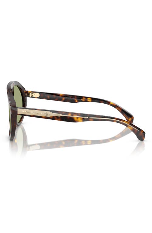 Moncler Fhaite Sunglasses In Dark Tortoise