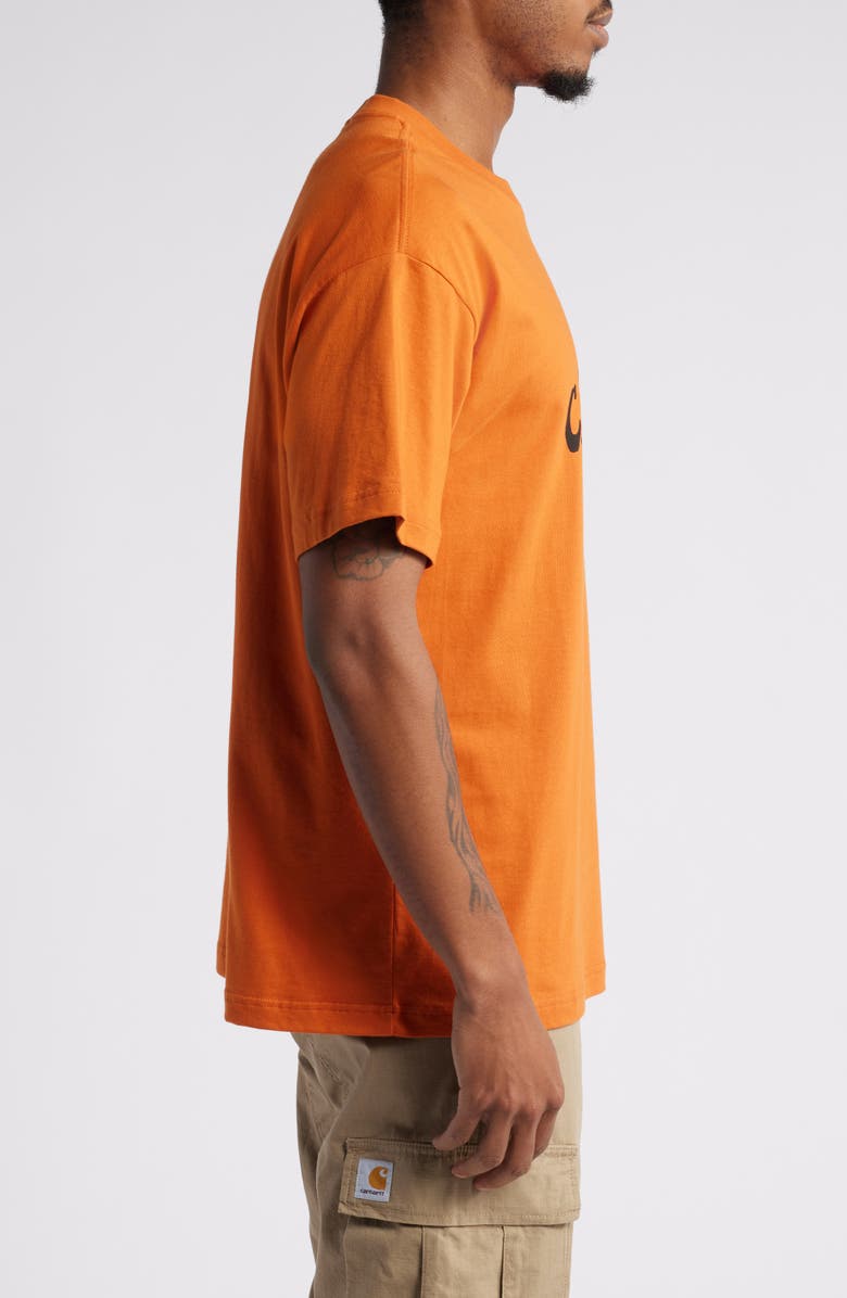 Carhartt Work In Progress Brush Loose Fit Organic Cotton Graphic T-Shirt, Alternate, color, 