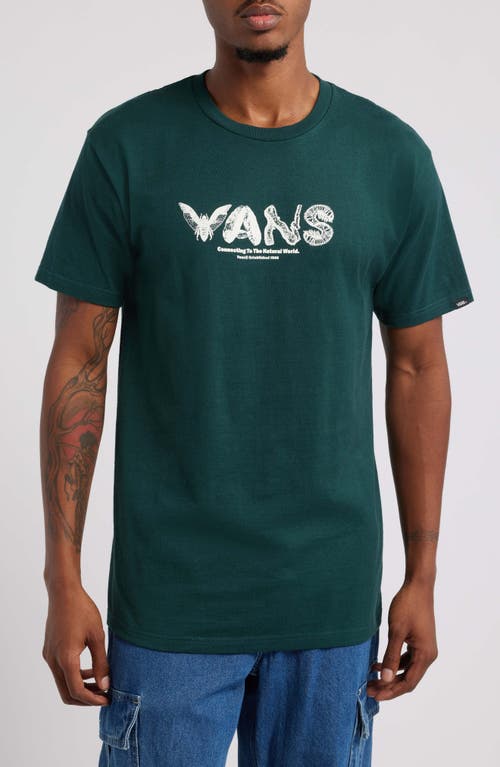 Vans Artifacts Graphic T-Shirt in Green Gables 