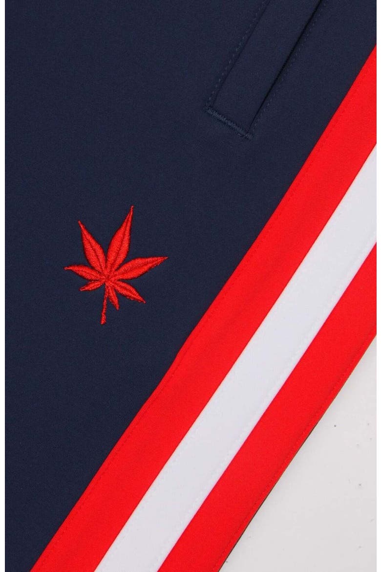 Tipped Warm-Up Pant 2.0, Alternate, color, Navy Red White