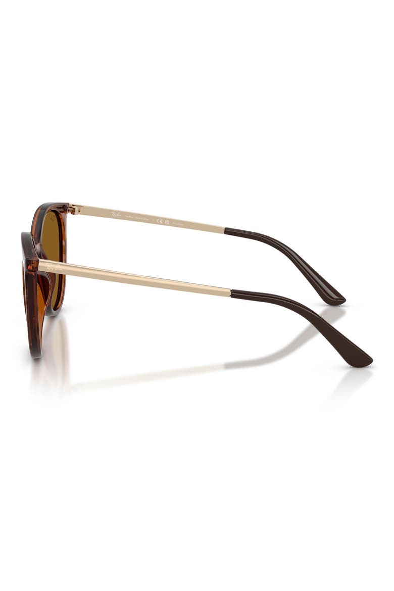 RB4464L 54mm Polarized Round Sunglasses, Alternate, color, DARK HAVANA / DARK BROWN POLAR