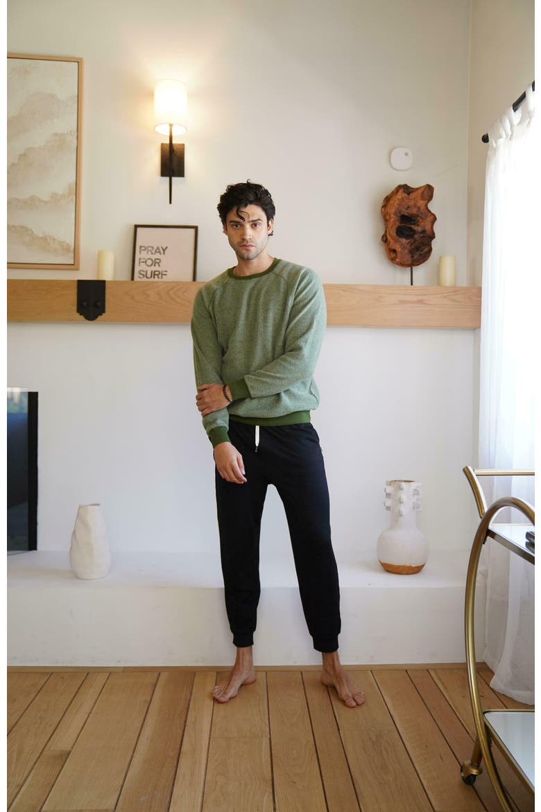 BlanketBlend Unisex Crewneck, Alternate, color, Iguana