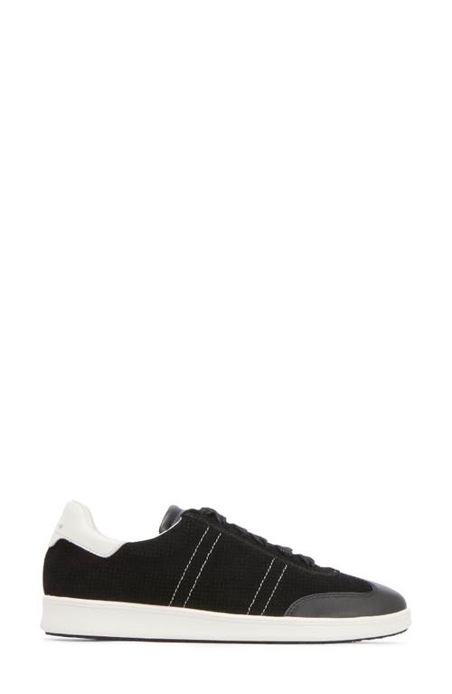 Frankie4 Drew Sneaker In Black Suede