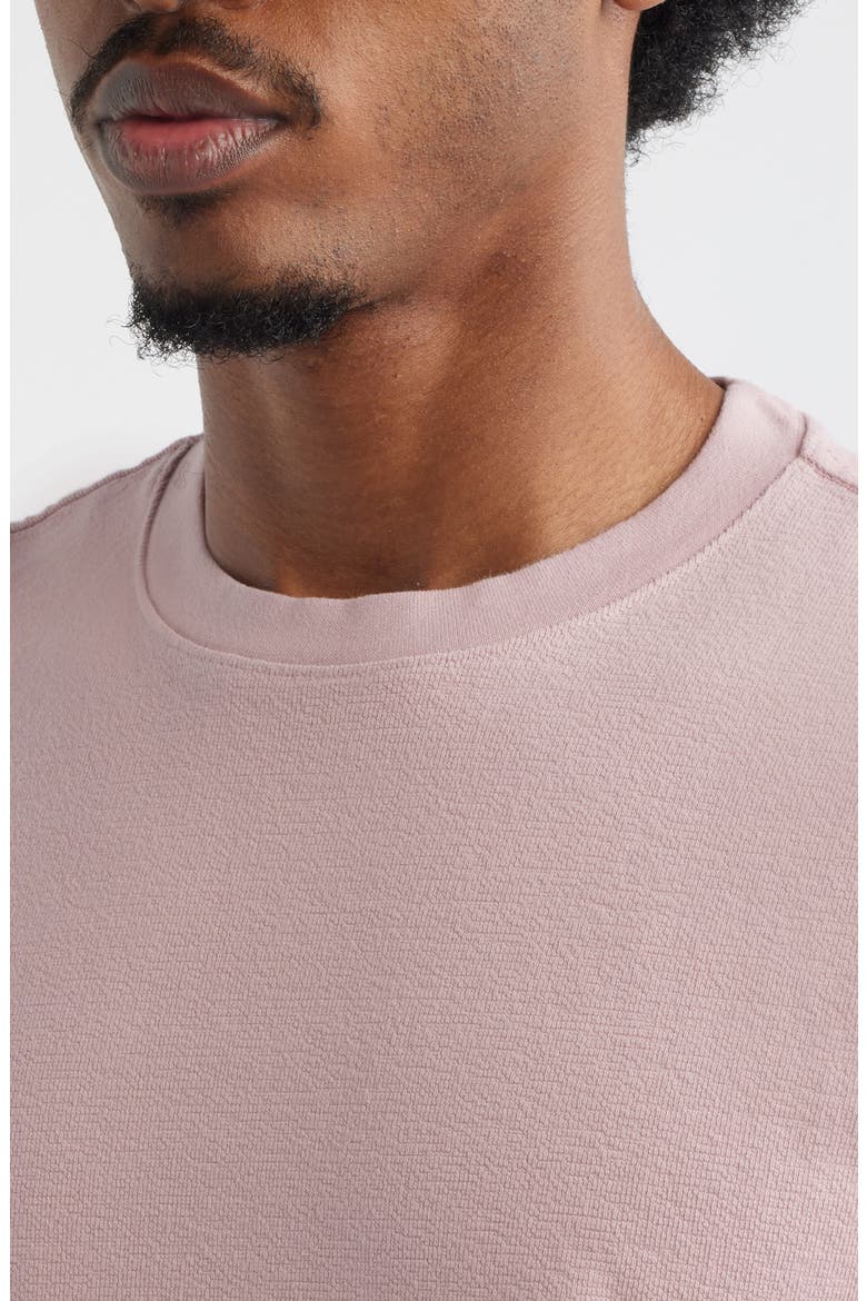 Dean Boxy Textured Organic Cotton T-Shirt, Alternate, color, DUSTY PINK