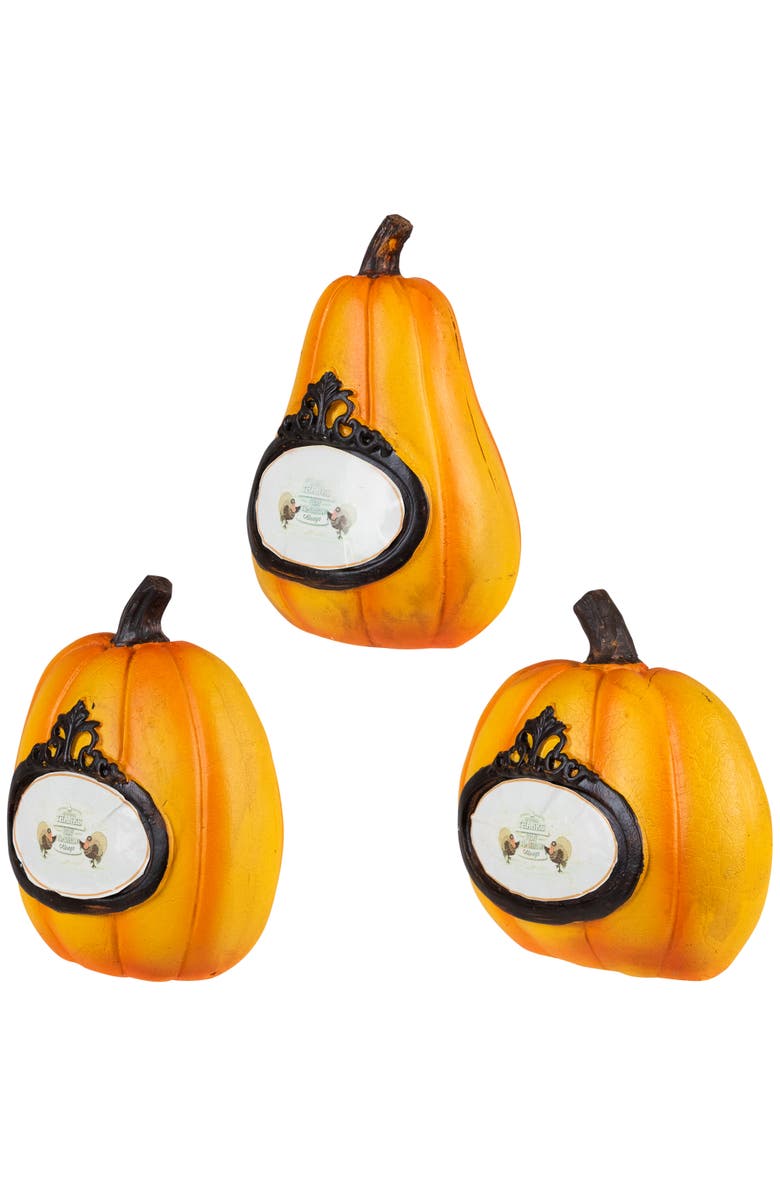 Northlight "Thanks, Today, Tomorrow, Always" Fall Harvest Pumpkin Decorations - 5.5" - Set of 3, Alternate, color, Orange