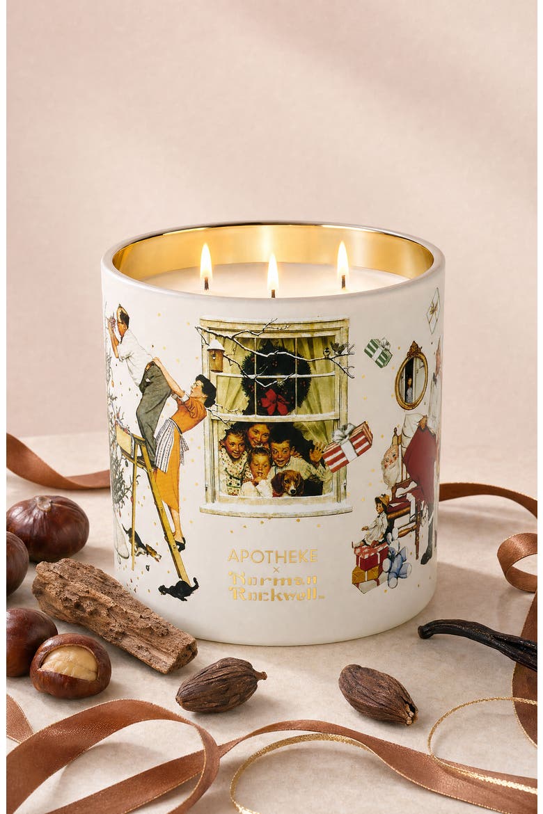Cardamom Chestnut Norman Rockwell Candle, Alternate, color, NO COLOR