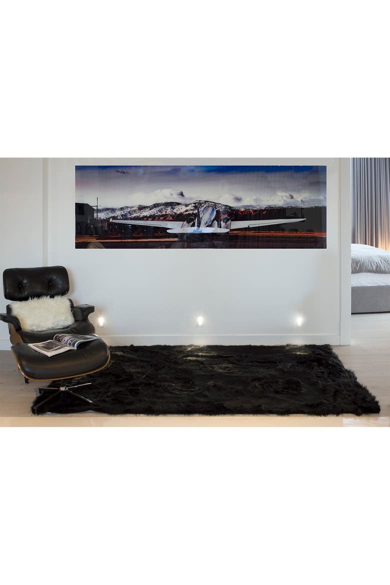 Faux Fur Hudson 5' X 8' Rectangular Throw - Black, Alternate, color, BLACK