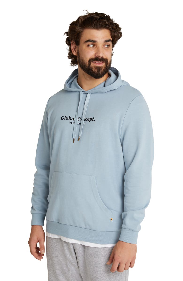 Johnny Bigg Global Concept Embroidered Hoodie, Alternate, color, 