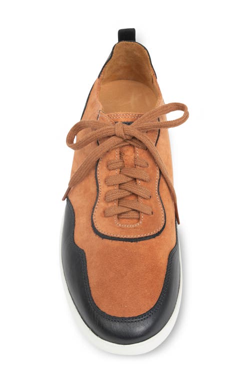 Patricia Green Travel Sneaker In Brown