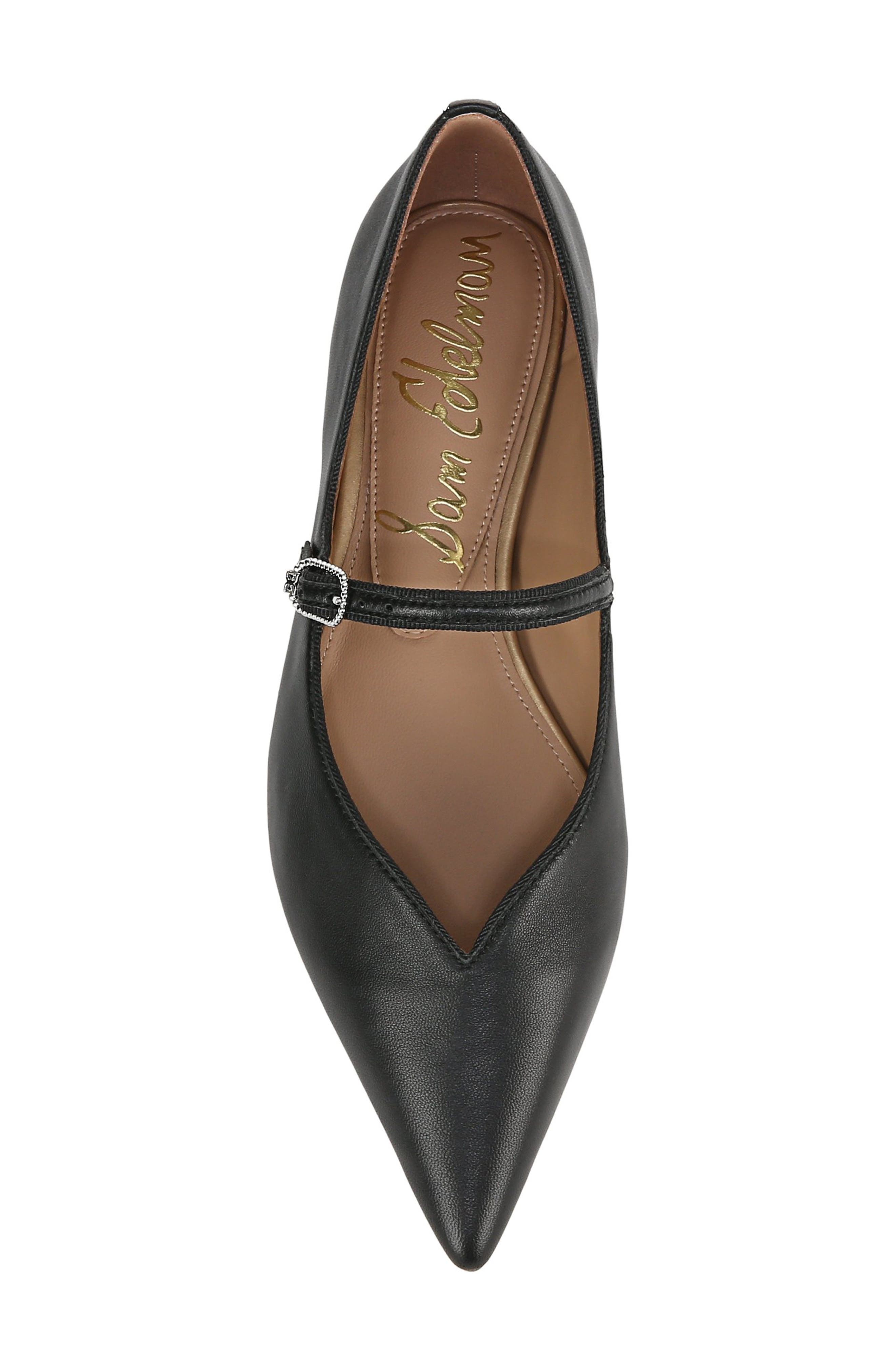 Sam Edelman Noa Mary Jane Pointed Toe Flat, Alternate, color, 
