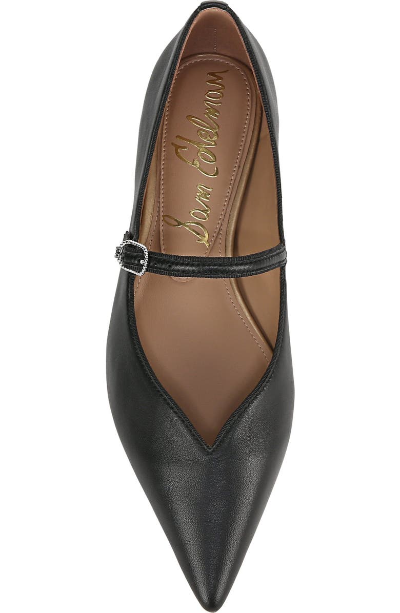 Sam Edelman Noa Mary Jane Pointed Toe Flat, Alternate, color,