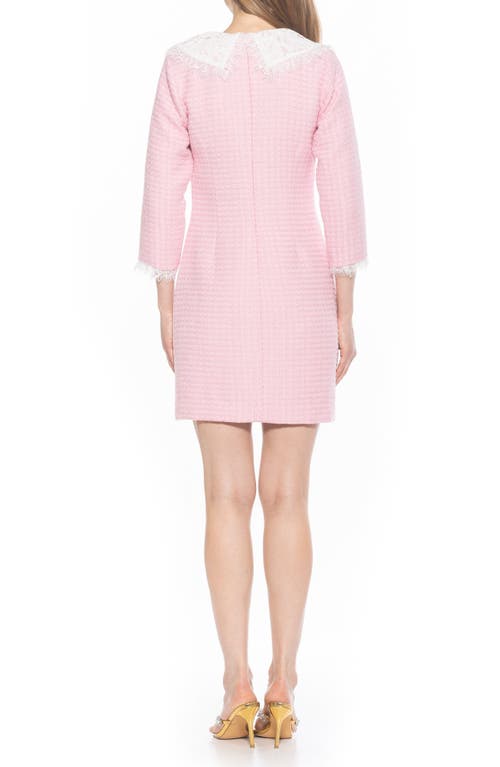 Alexia Admor Monique Shift Dress In Pink