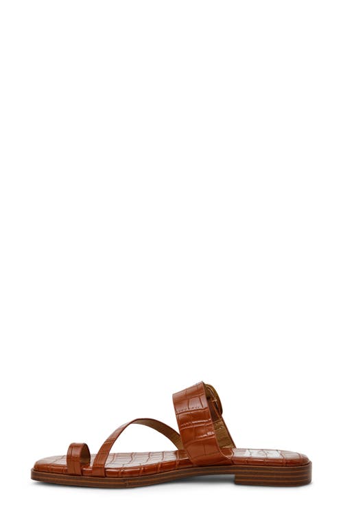 Dolce Vita Dv By Makai Toe Loop Buckle Sandal In Tan