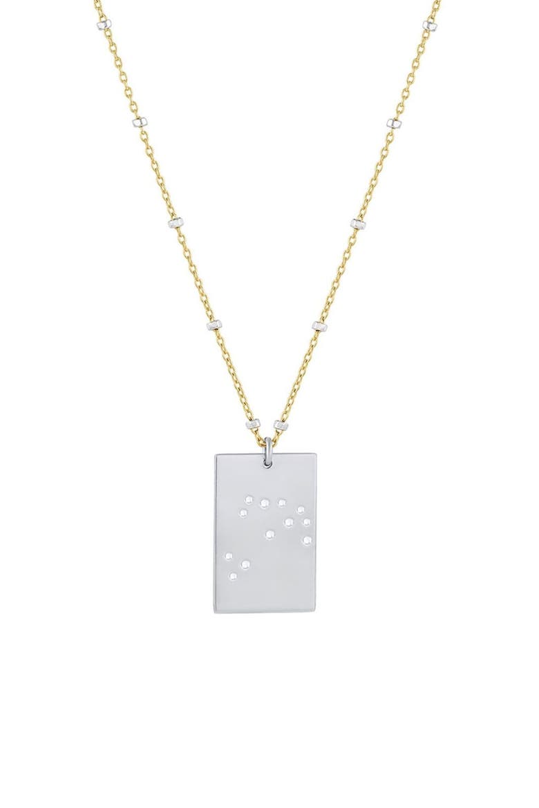 Zodiac Constellation Pendant Necklace, Main, color, SILVER - CAPRICORN