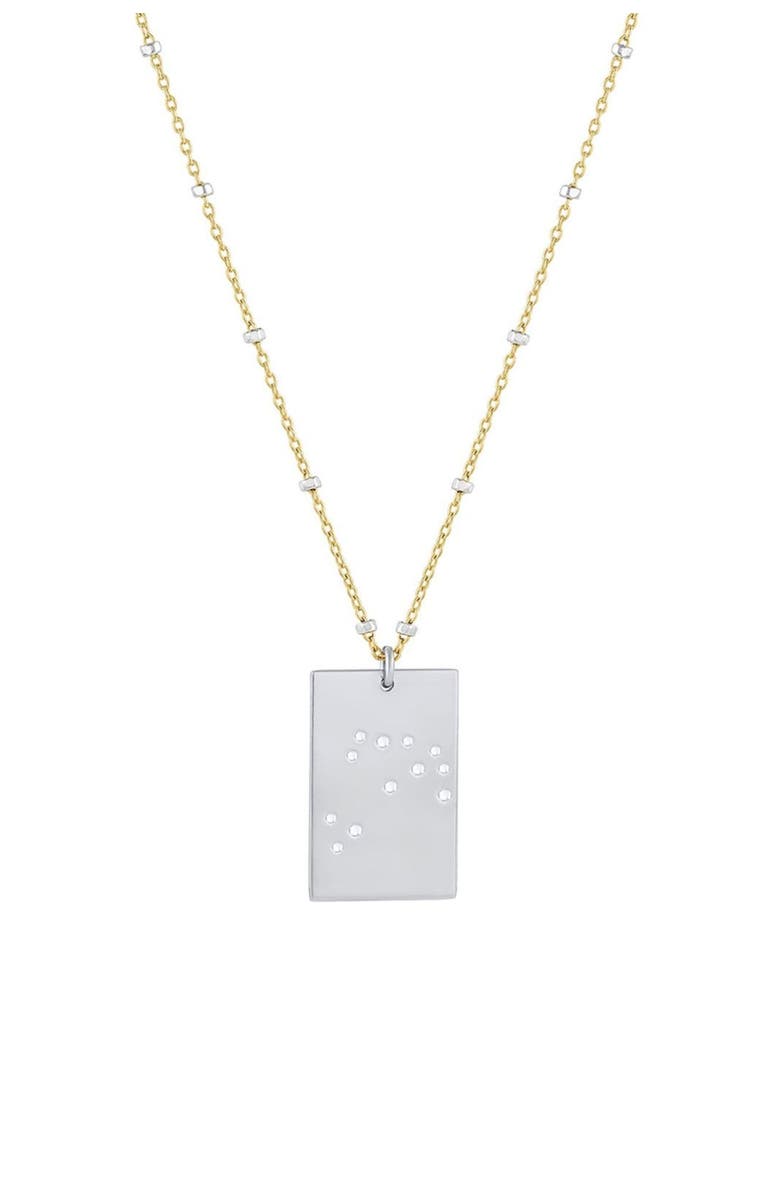 Set & Stones Zodiac Constellation Necklace, Main, color, Silver / Capricorn