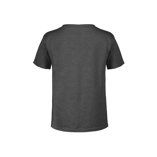 Pokémon Boy's Pokemon Charizard Info Grid  Graphic T-shirt In Gray
