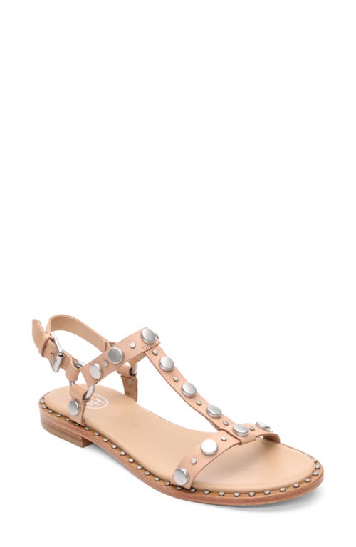 Ash Prisma Studded Slingback Sandal In Sand
