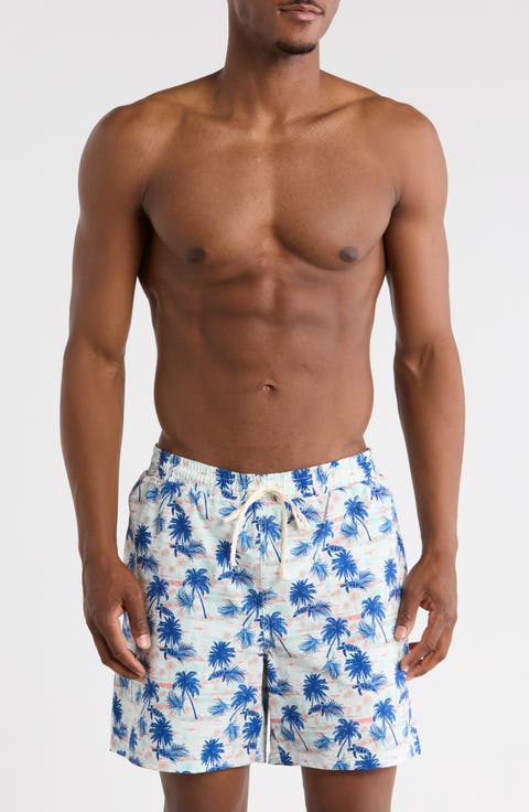 Sea Turtle Seersucker Swim Trunks