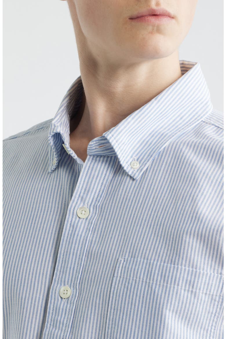 Stripe Cotton Button-Down Oxford Shirt, Alternate, color, BLUE