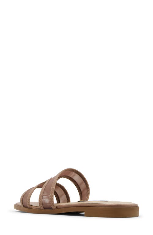 Steve Madden Hazel Slide Sandal In Brown