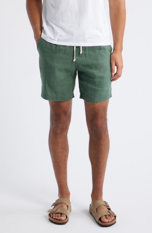 Alex Crane Bo Linen Drawstring Shorts In Pine