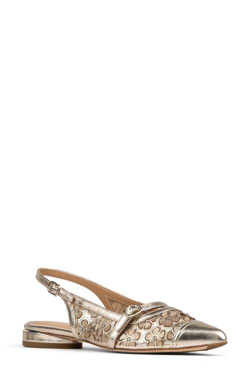 DONALD PLINER DONALD PLINER POINTED TOE SLINGBACK FLAT