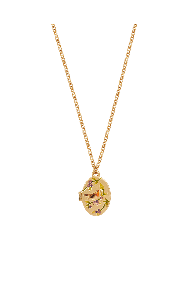 Robin & Blackberry Gold Locket Chain Necklace, Main, color, Gold