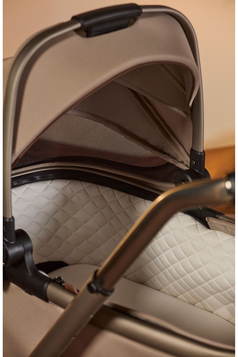 Reef 2 First Bed Folding Bassinet, Alternate, color, FRAPPE