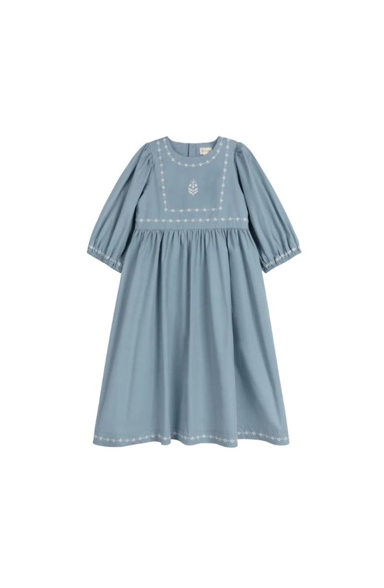 Ely's & Co. Looms Embroidered Trim Collection - Dress, Main, color, Blue