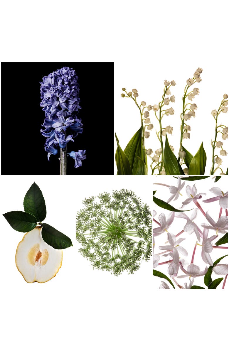 Penhaligon's Bluebell Eau de Toilette, Alternate, color, 