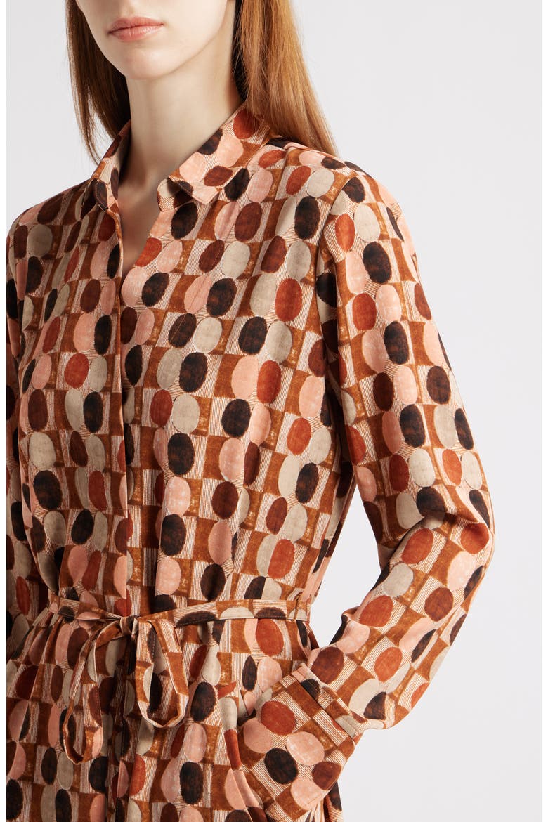 Devon Circle Print Long Sleeve Belted Dress, Alternate, color, SPICE MULTI