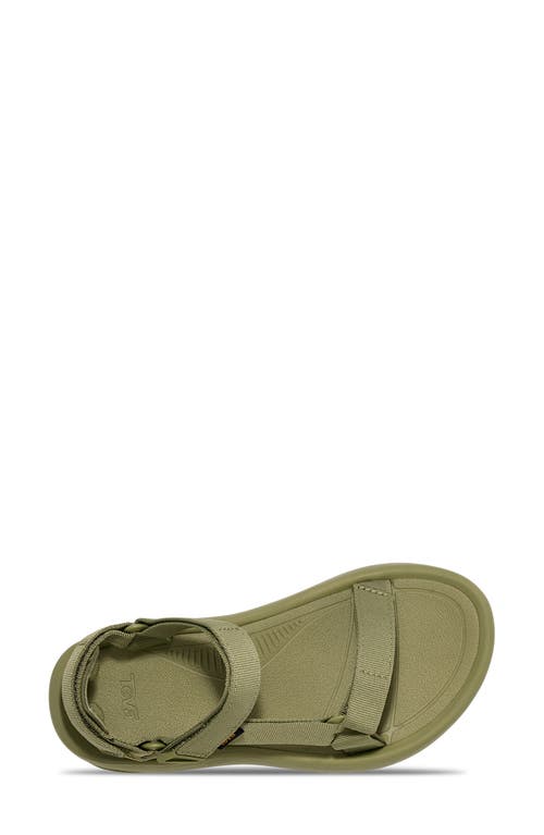 Teva Hurricane Xlt2 Ampsole Sport Sandals In Iguana