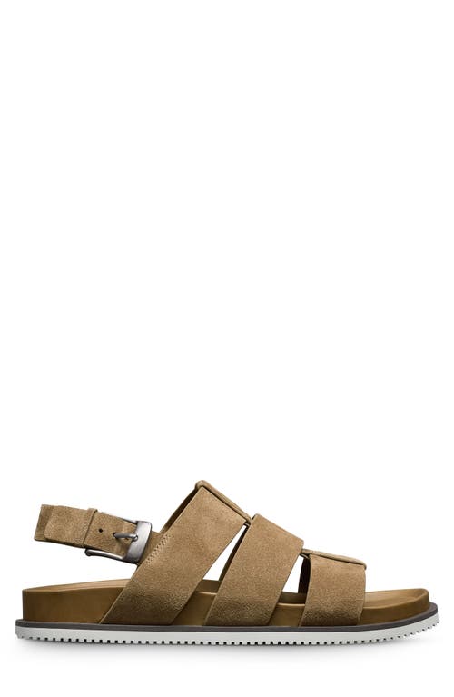 Allen Edmonds Damien Fisherman Sandal In Tobacco