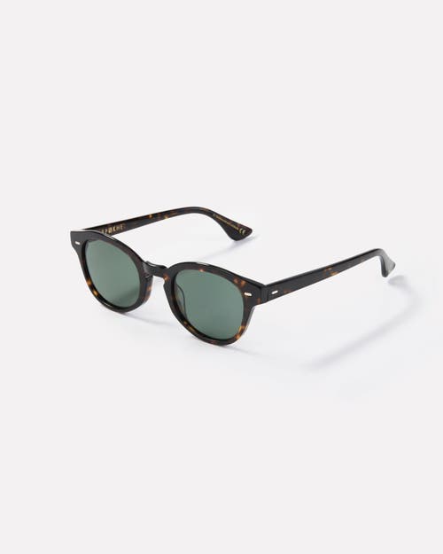 Epokhe Coil Sunglasses In Brown