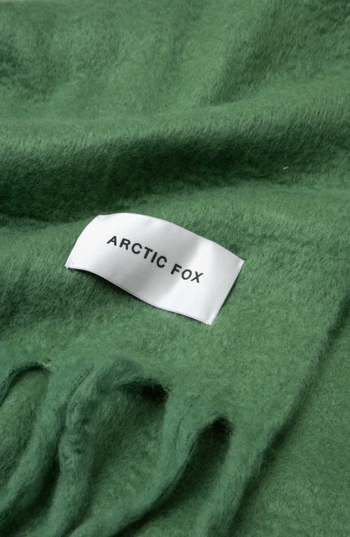 Arctic Fox & Co. Arctic Fox & Co The Stockholm Fringe Scarf In Green