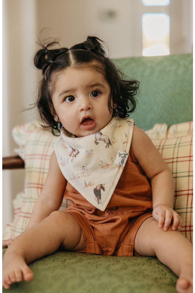 Cheyenne Assorted 4-Pack Bandana Bibs, Alternate, color, CHEYENNE