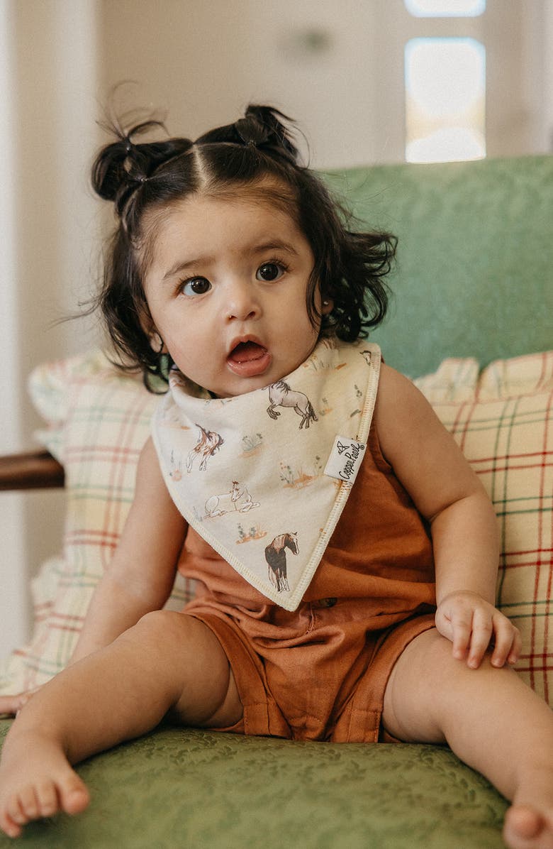 Copper Pearl Cheyenne Assorted 4-Pack Bandana Bibs, Alternate, color,