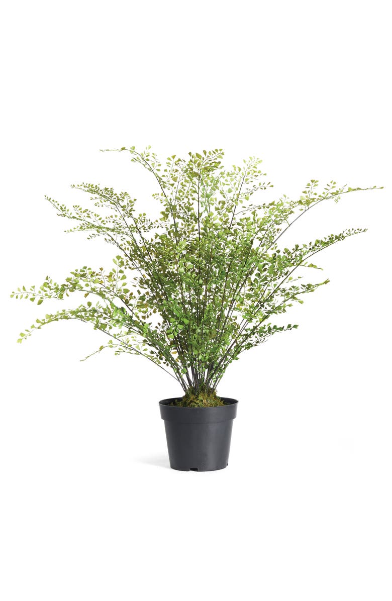 Napa Home & Garden Maidenhair Drop-In 30", Main, color, Green