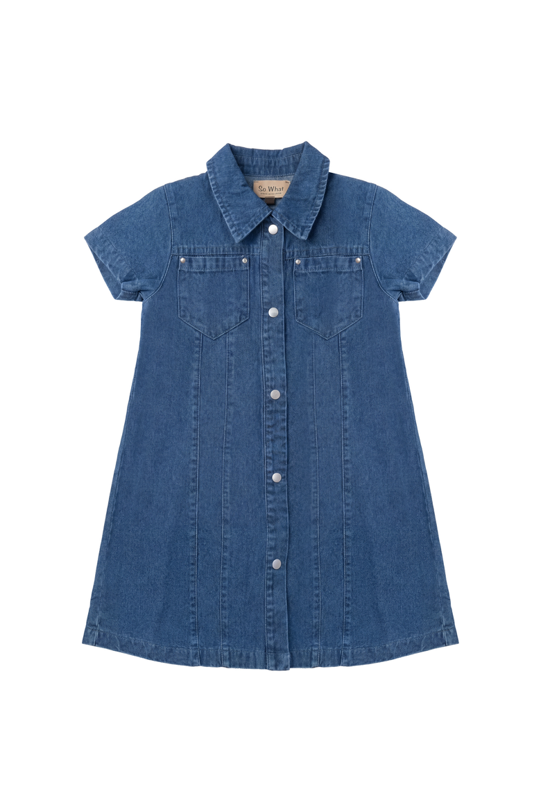 Embroidered Snap Front Patch Pocket Denim Dress, Main, color, Light Denim