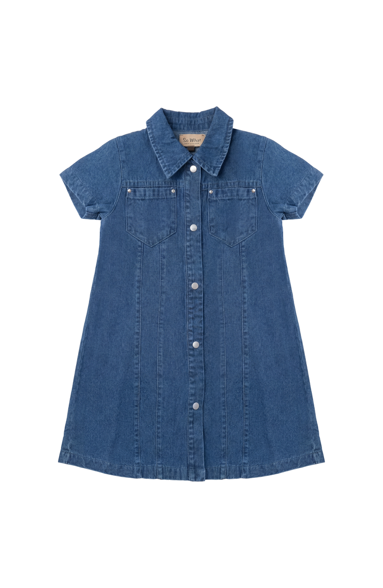 So What Embroidered Snap Front Patch Pocket Denim Dress, Main, color, Light Denim