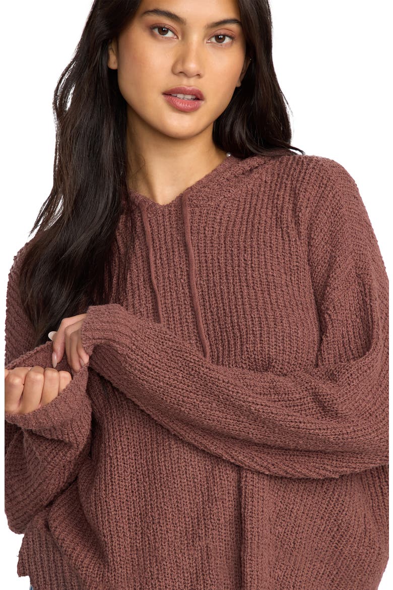 Hot Beachin' Hooded Sweater, Alternate, color, ESPRESSO BROWN