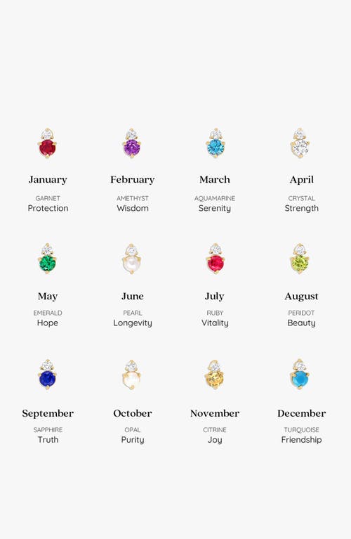 Bearfruit Jewelry Deux Birthstone Necklace
