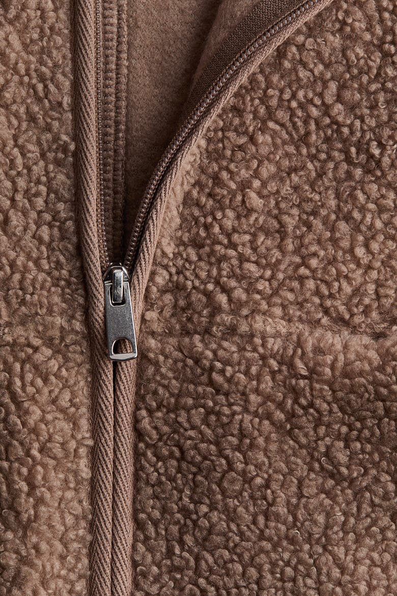 Teddy Fleece Jacket, Alternate, color, Dark beige