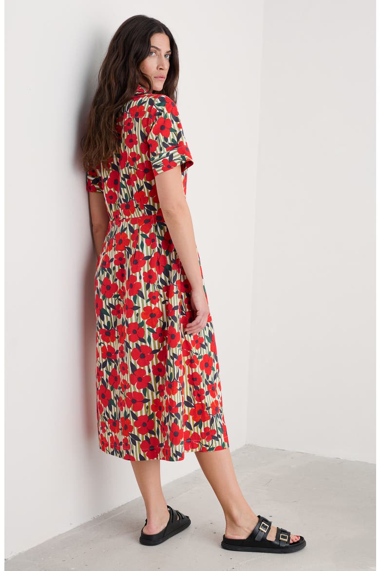 Birch Glade Floral Organic Cotton Midi Shirtdress, Alternate, color, STRIPEY FLORAL MOSS