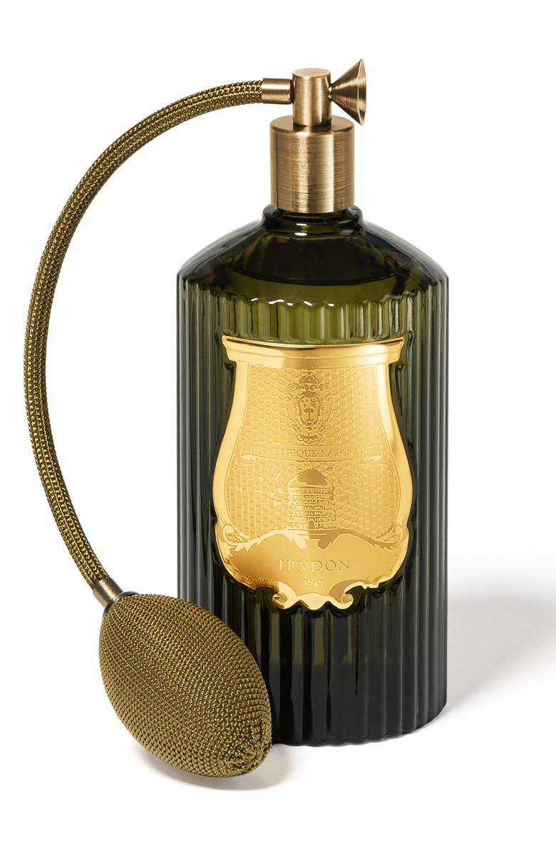 Trudon Ernesto Leather & Tobacco Room Spray, Main, color, 