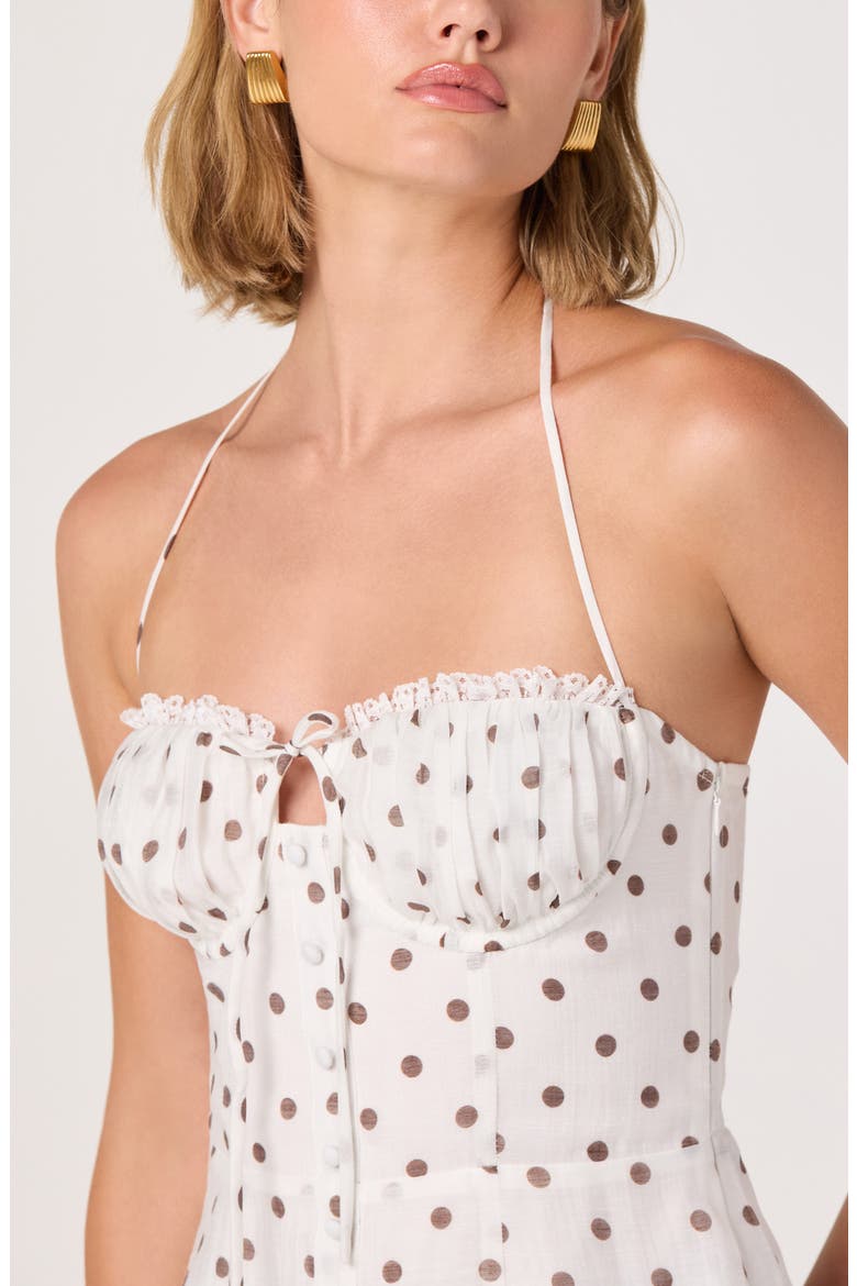 Lizzie Polka Dot Lace Trim Halter Top, Alternate, color, WHITE POLKA DOT