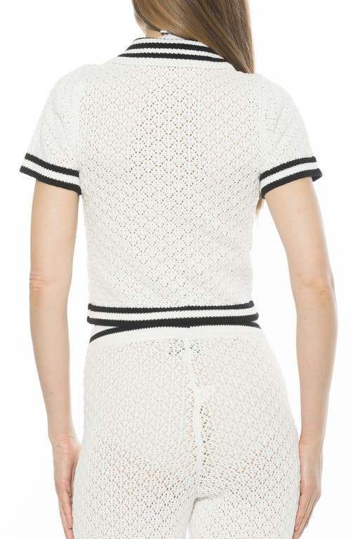 Alexia Admor Brinley Crochet Stitch Polo In Ivory